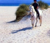 Horseriding at Rossbeigh Beach, Glenbeigh