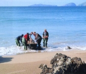 Fishermen with Boat at Cromane, Killorglin, Kerry