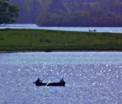 Fishing for brown trout at Caragh Lake KillorglinKerry