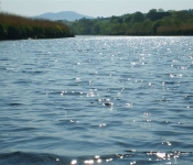 On the River Laune Killorglin Riverbank Lodges 