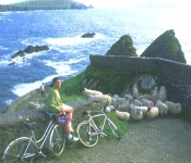 Sheep on path overlooking behive huts on side of wild Atlantic 