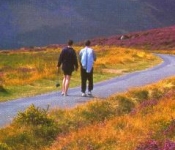 Walking by the heather Carrantuohill mountain Killorglin