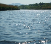 On the River Laune, Killorglin Riverbank Lodges,Killorglin, Kerry