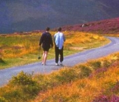 Walking by the heather towards Carrantuohill,Ireland's highest mountain, near Killorglin, Kerry