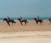 Going for a gallop on the Beach @ Rossbeigh, near Killorglin, Kerry