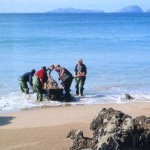 Fishermen with catch on Boat at Cromane,Killorglin, Kerry.